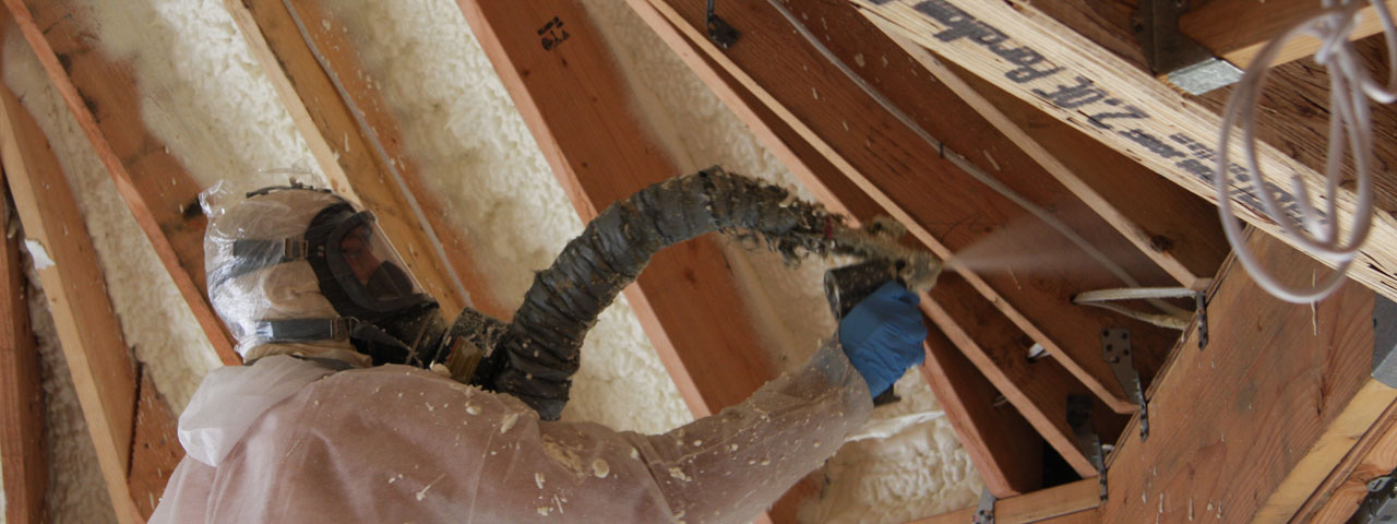 Attic Insulation